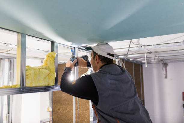 Professional Insulation Contractor in VA