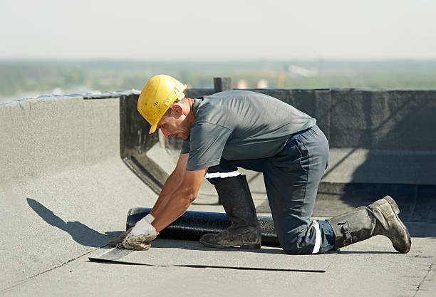 Best Specialty Insulation in Lake Of The Woods, VA