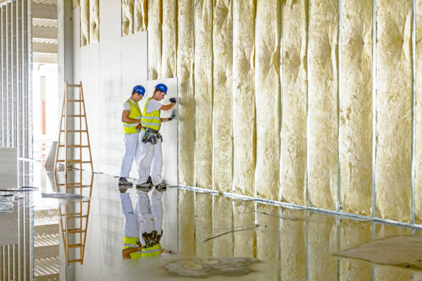 Best Insulation for Specific Applications in Lake Of The Woods, VA